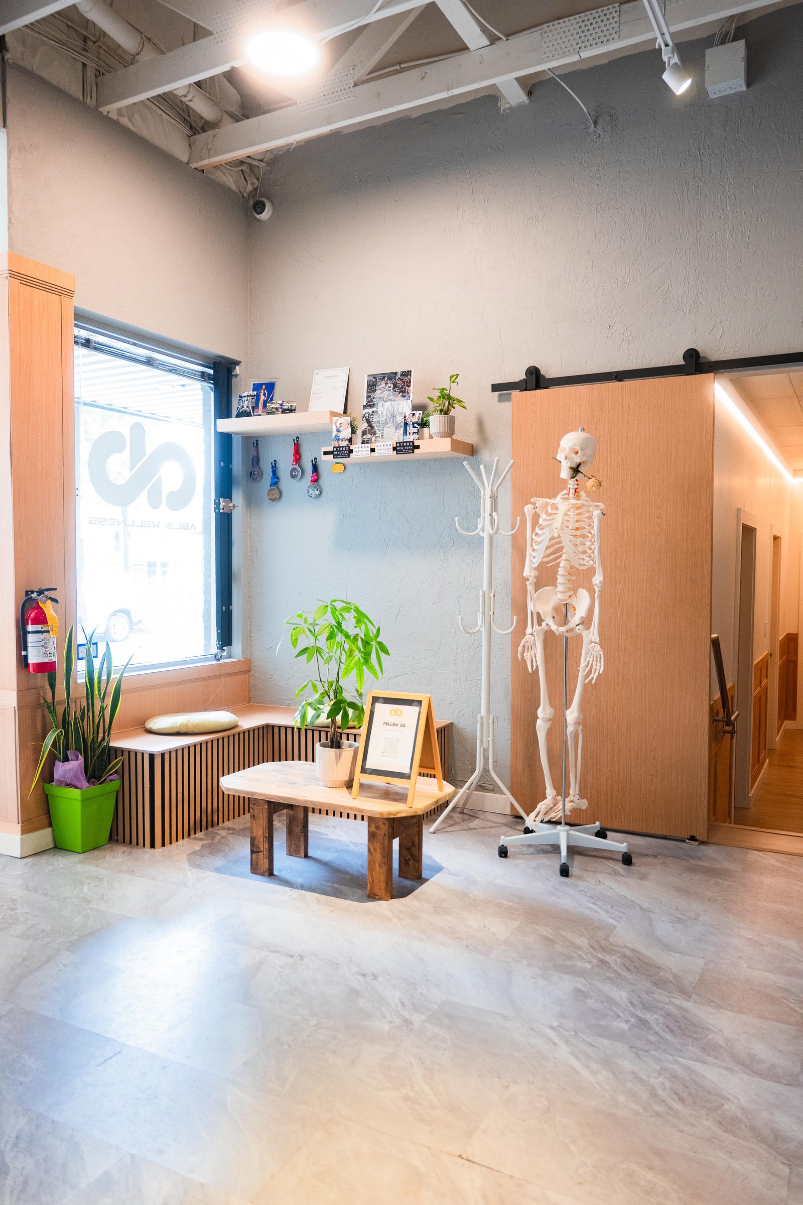 The waiting area at Able Wellness, with an anatomical model and plants