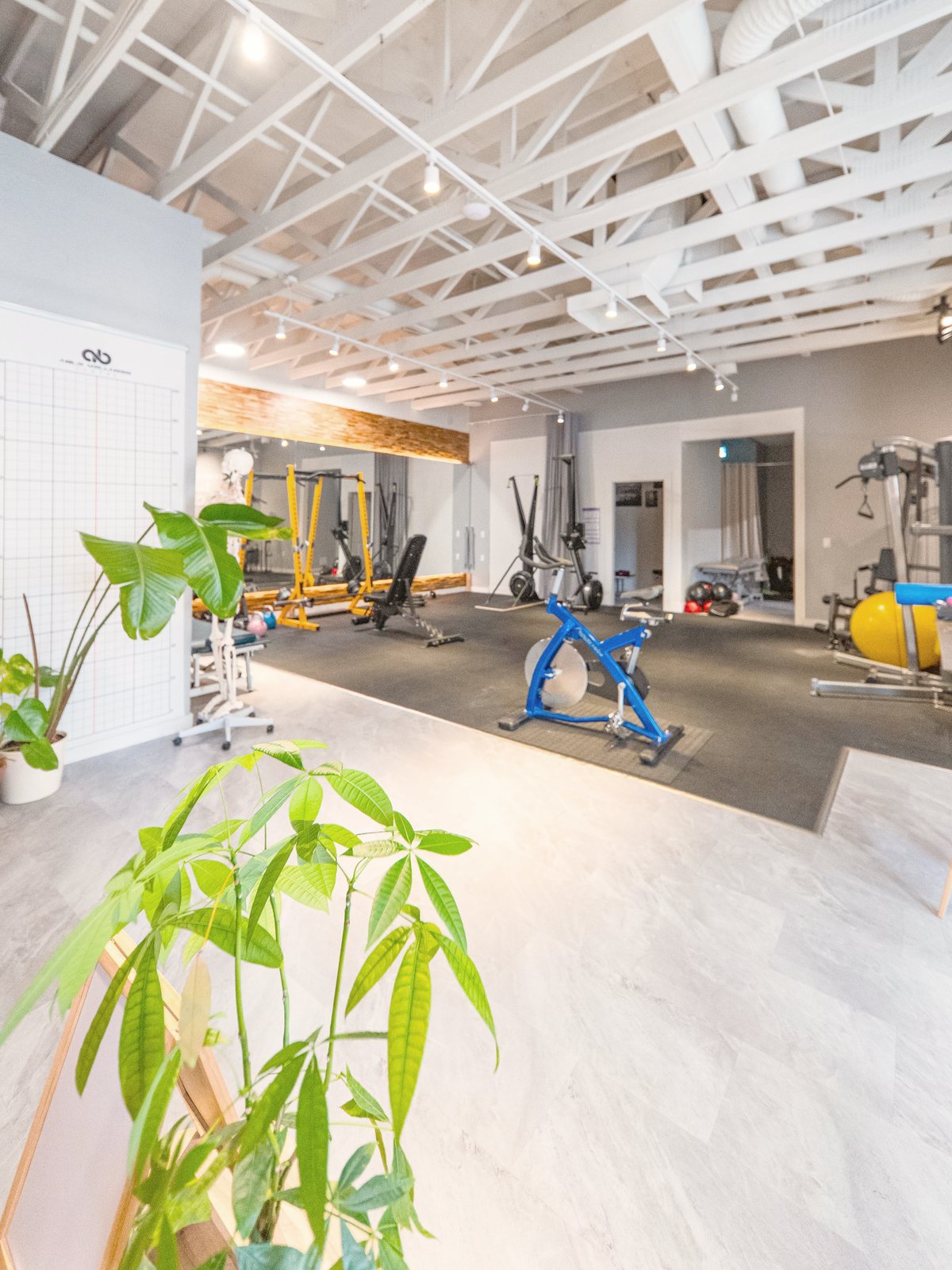 Group Training at Able Wellness, second view